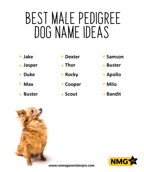male-pedigree-dog-name-ideas